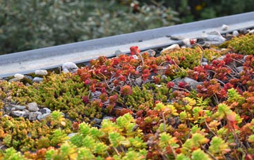 the cost of Brassey Green green roof installation