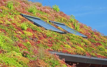 Brassey Green living roof systems